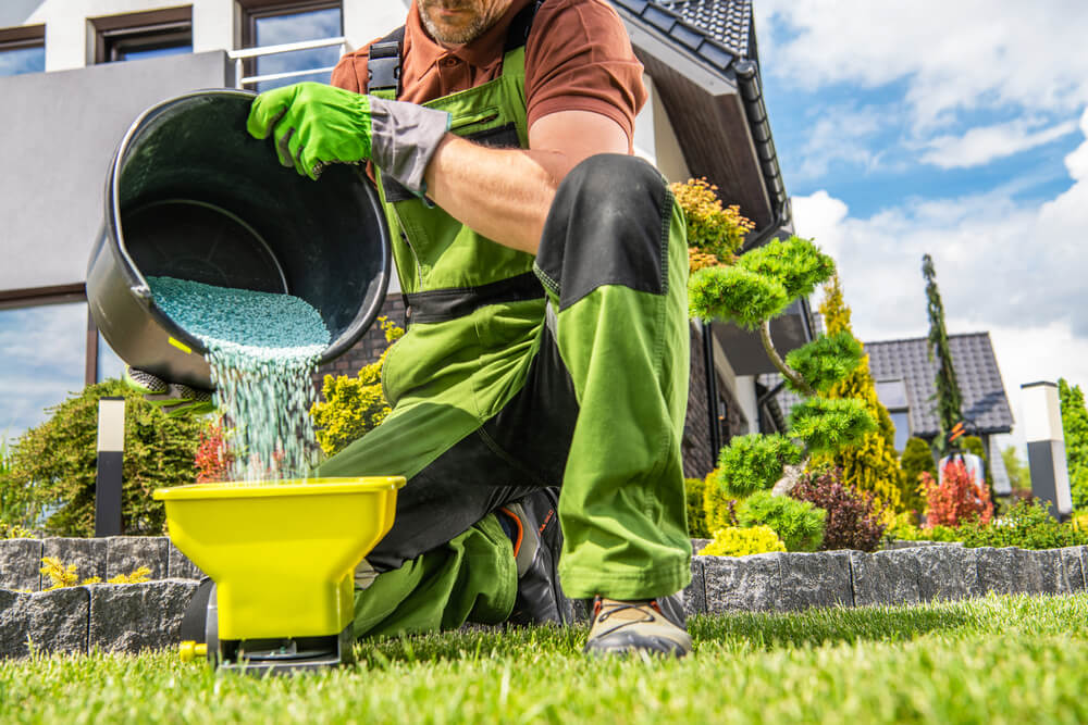 Lawn Fertilizing Services: Your Key To A Lush And Healthy Lawn