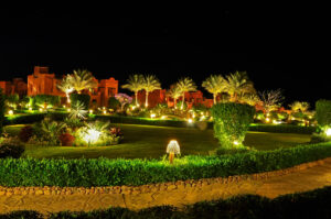 Enhance Your Evenings Discover The Magic Of FX Luminaire LED Landscape Lighting With Oasis Palms & Landscaping